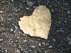 Unfaltering love; Is it&nbsp;possible?