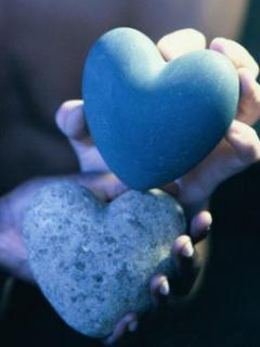 Heart! Mind! Or a Grammar Nazi?