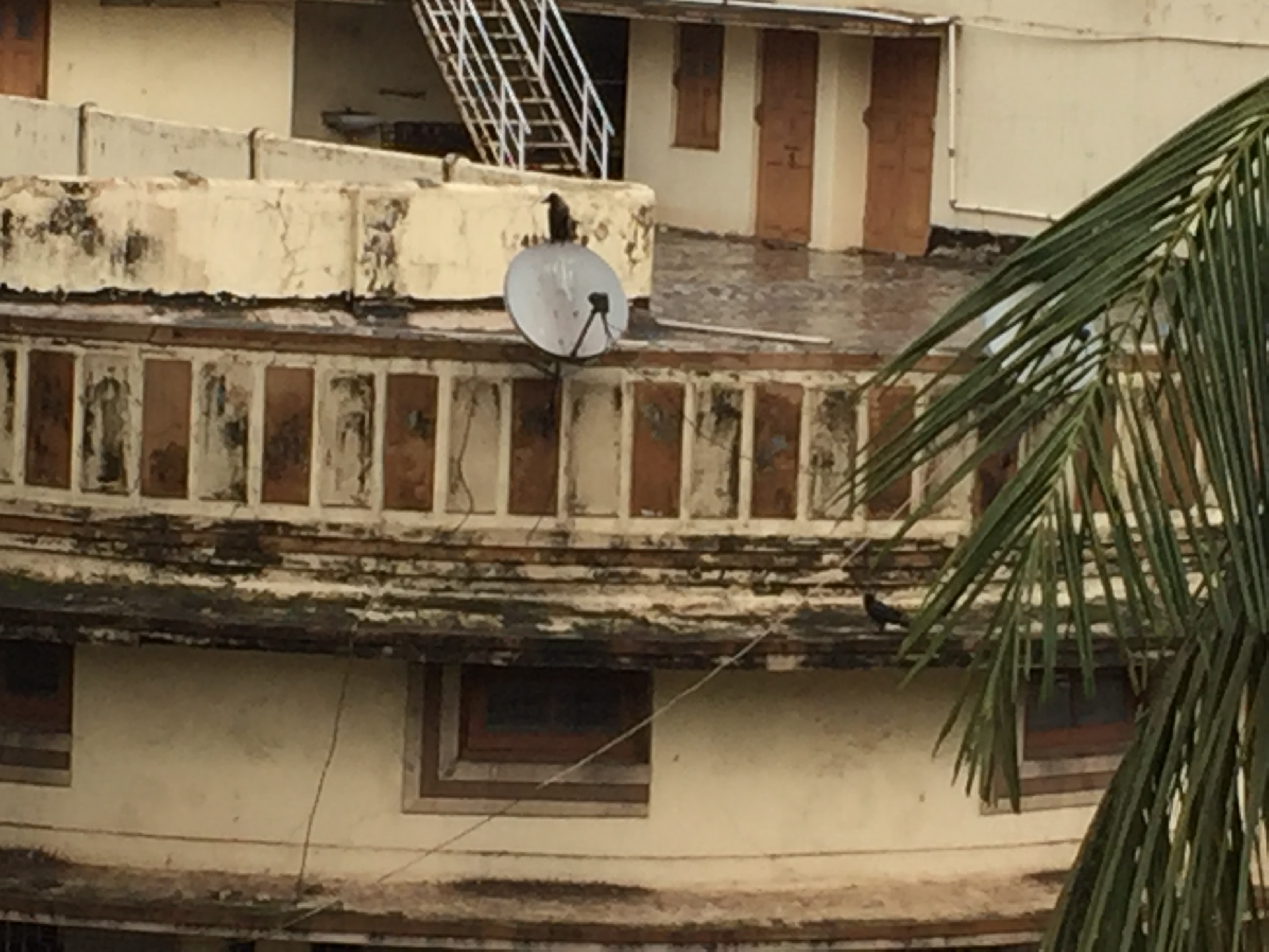 76282792-58F3-4246-9901-56C6EB6EE8C4