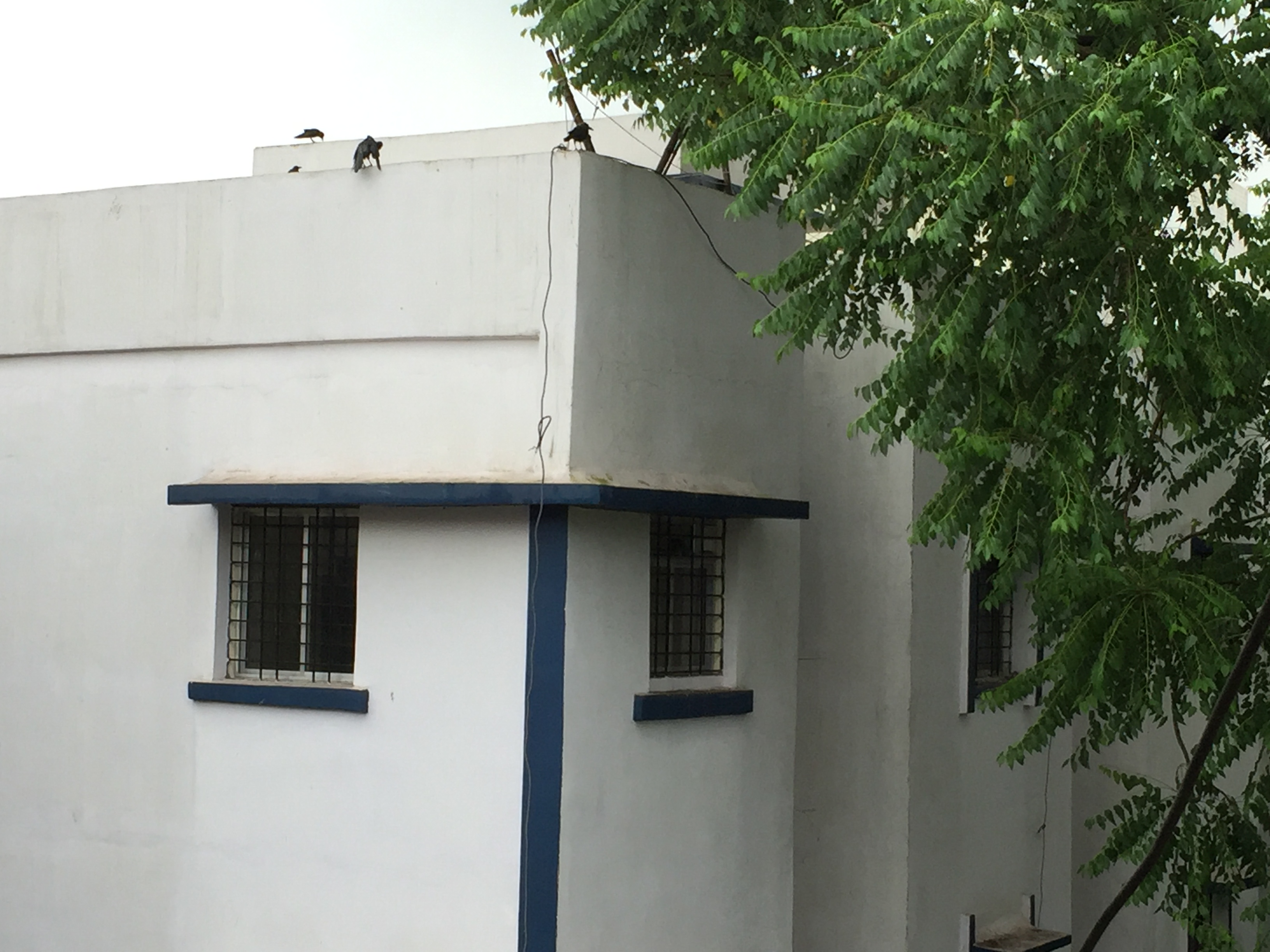 E596BF52-4C1E-40E4-99EC-8F7B38910836