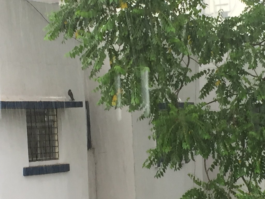 One Big Happy Family #3