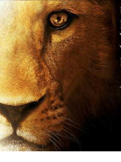 Ever Thought Of&nbsp;This?