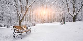 The Wait For Spring.